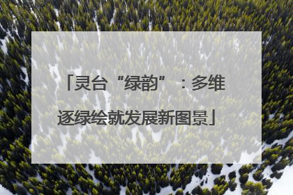 灵台“绿韵”：多维逐绿绘就发展新图景