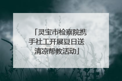 灵宝市检察院携手社工开展夏日送清凉帮教活动