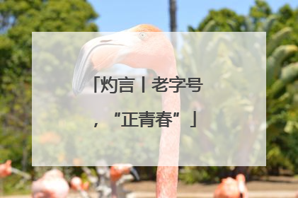 灼言丨老字号，“正青春”