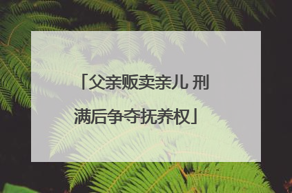 父亲贩卖亲儿 刑满后争夺抚养权