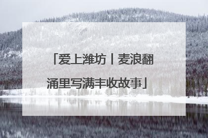 爱上潍坊丨麦浪翻涌里写满丰收故事