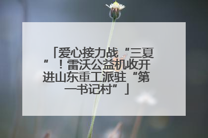 爱心接力战“三夏”！雷沃公益机收开进山东重工派驻“第一书记村”