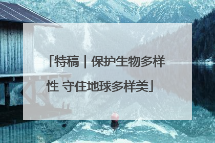 特稿｜保护生物多样性 守住地球多样美