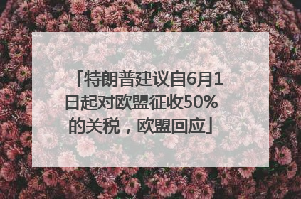 特朗普建议自6月1日起对欧盟征收50%的关税，欧盟回应