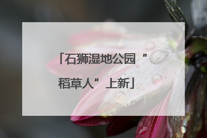 石狮湿地公园“稻草人”上新