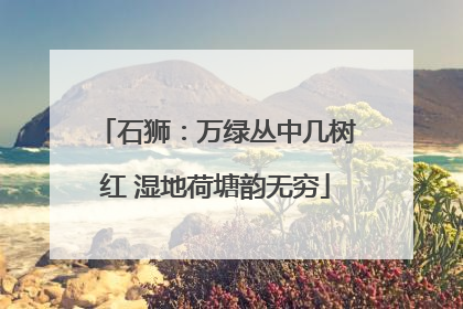 石狮：万绿丛中几树红 湿地荷塘韵无穷