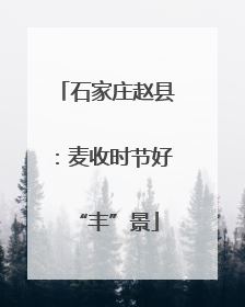 石家庄赵县：麦收时节好“丰”景