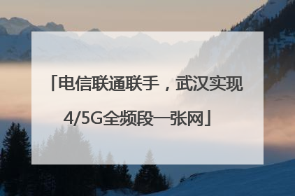 电信联通联手，武汉实现4/5G全频段一张网