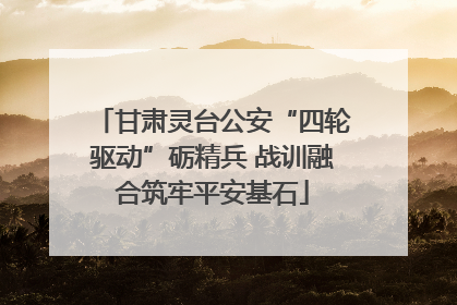 甘肃灵台公安“四轮驱动”砺精兵 战训融合筑牢平安基石