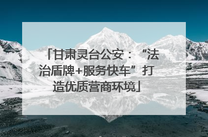 甘肃灵台公安：“法治盾牌+服务快车”打造优质营商环境