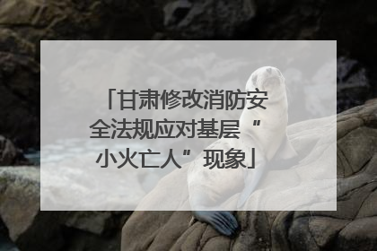 甘肃修改消防安全法规应对基层“小火亡人”现象