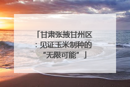 甘肃张掖甘州区：见证玉米制种的“无限可能”