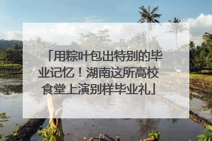 用粽叶包出特别的毕业记忆！湖南这所高校食堂上演别样毕业礼