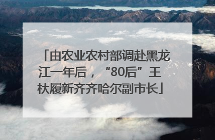 由农业农村部调赴黑龙江一年后，“80后”王杕履新齐齐哈尔副市长