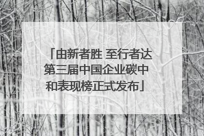 由新者胜 至行者达 第三届中国企业碳中和表现榜正式发布