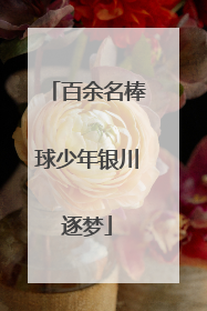 百余名棒球少年银川逐梦