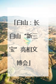 白山：长白山“新三宝”亮相文博会