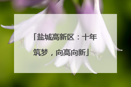 盐城高新区：十年筑梦，向高向新