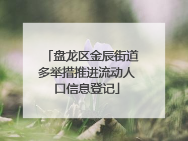 盘龙区金辰街道多举措推进流动人口信息登记