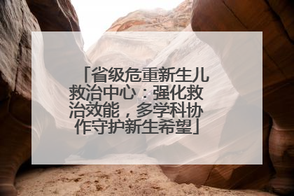 省级危重新生儿救治中心：强化救治效能，多学科协作守护新生希望