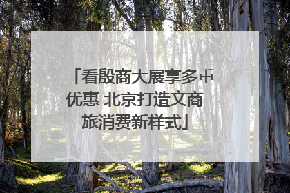 看殷商大展享多重优惠 北京打造文商旅消费新样式