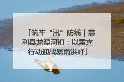 筑牢“汛”防线｜慈利县龙潭河镇：以雷霆行动迎战暴雨洪峰