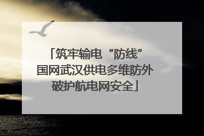 筑牢输电“防线” 国网武汉供电多维防外破护航电网安全