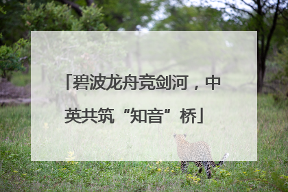 碧波龙舟竞剑河，中英共筑“知音”桥