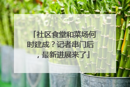 社区食堂和菜场何时建成？记者串门后，最新进展来了