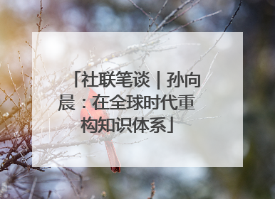 社联笔谈｜孙向晨：在全球时代重构知识体系