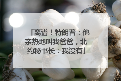 离谱！特朗普：他亲热地叫我爸爸，北约秘书长：我没有