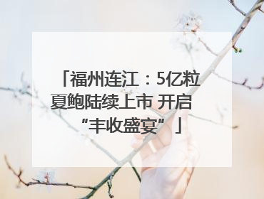 福州连江：5亿粒夏鲍陆续上市 开启“丰收盛宴”