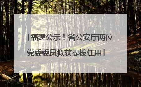 福建公示！省公安厅两位党委委员拟获提拔任用