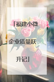 福建小微企业质量跃升记