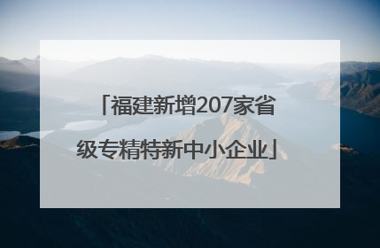 福建新增207家省级专精特新中小企业