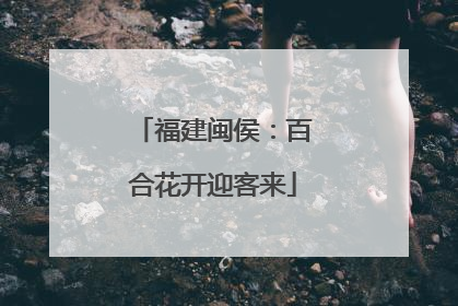 福建闽侯：百合花开迎客来
