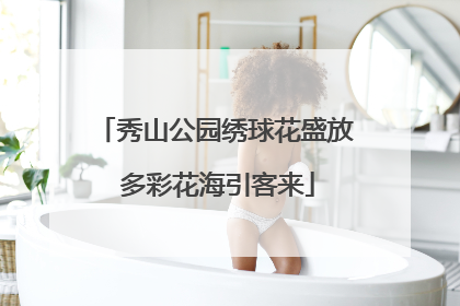 秀山公园绣球花盛放 多彩花海引客来
