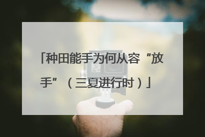 种田能手为何从容“放手”（三夏进行时）
