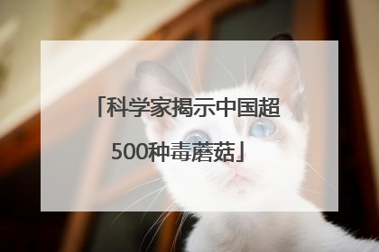 科学家揭示中国超500种毒蘑菇