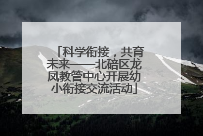 科学衔接，共育未来——北碚区龙凤教管中心开展幼小衔接交流活动