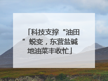 科技支撑“油田”蜕变，东营盐碱地油菜丰收忙