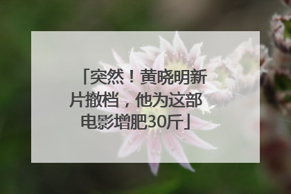 突然！黄晓明新片撤档，他为这部电影增肥30斤