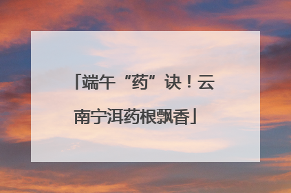 端午“药”诀！云南宁洱药根飘香