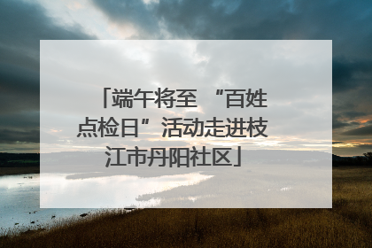 端午将至 “百姓点检日”活动走进枝江市丹阳社区