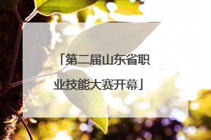 第二届山东省职业技能大赛开幕