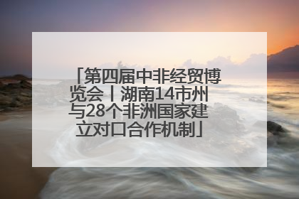 第四届中非经贸博览会丨湖南14市州与28个非洲国家建立对口合作机制