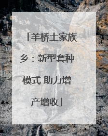 羊桥土家族乡：新型套种模式 助力增产增收