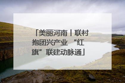 美丽河南丨联村抱团兴产业 “红旗”联建动脉通