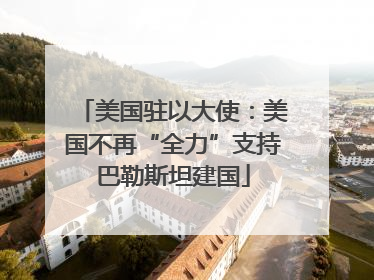 美国驻以大使：美国不再“全力”支持巴勒斯坦建国