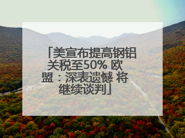 美宣布提高钢铝关税至50% 欧盟：深表遗憾 将继续谈判